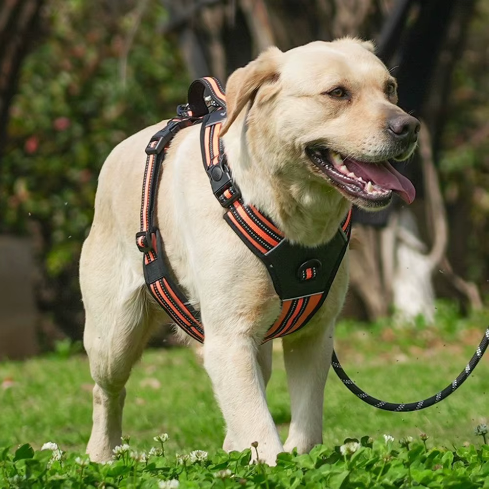 Harnais Anti-Traction Réglable pour Chien | Confort & Sécurité
