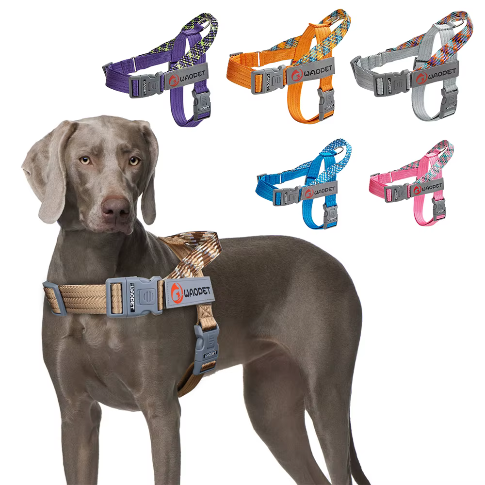 Harnais Réfléchissant pour Chien | Confort & Sécurité