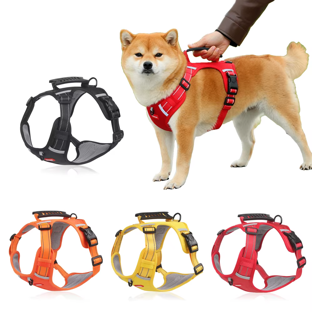 Harnais pour Chien Réglable à 4 Points – Confort & Sécurité