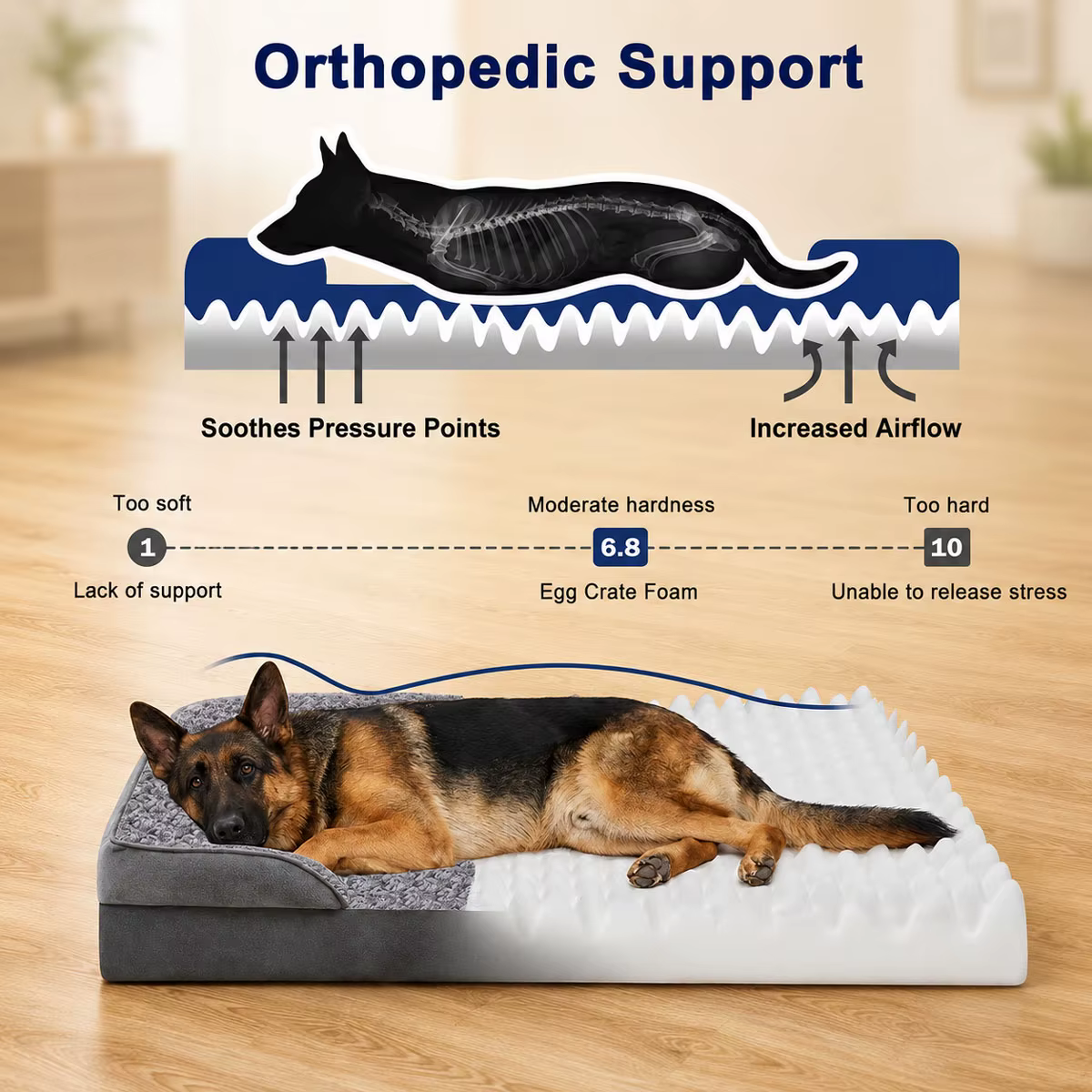 Lit Orthopédique pour Chien avec Rebords | Housse Lavable en Machine
