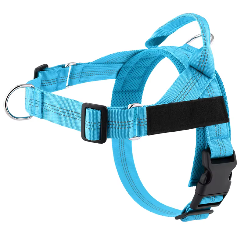 Harnais pour chien