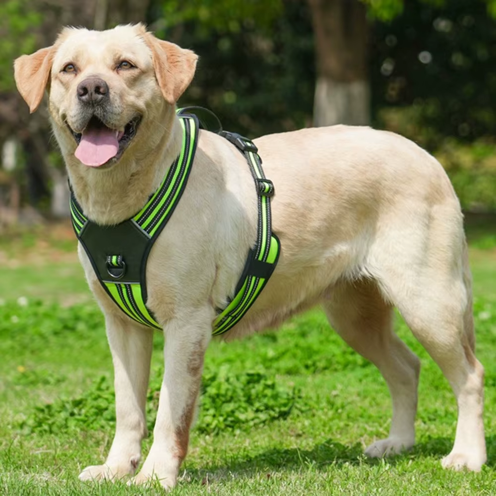 Harnais Anti-Traction Réglable pour Chien | Confort & Sécurité