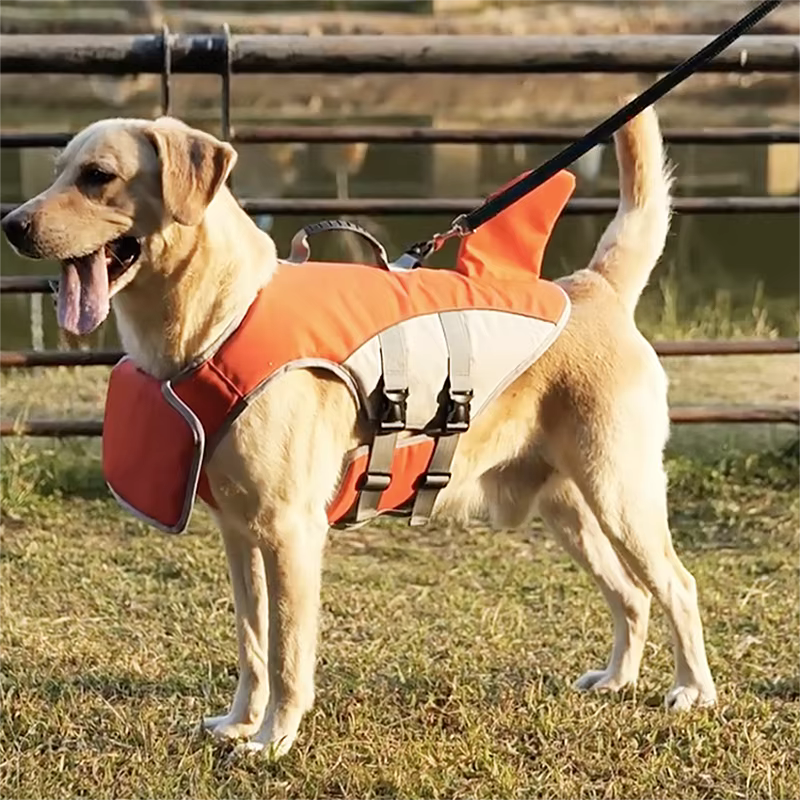 Gilet de Sauvetage pour Chien Aileron de Requin | Sécurité & Flottaison