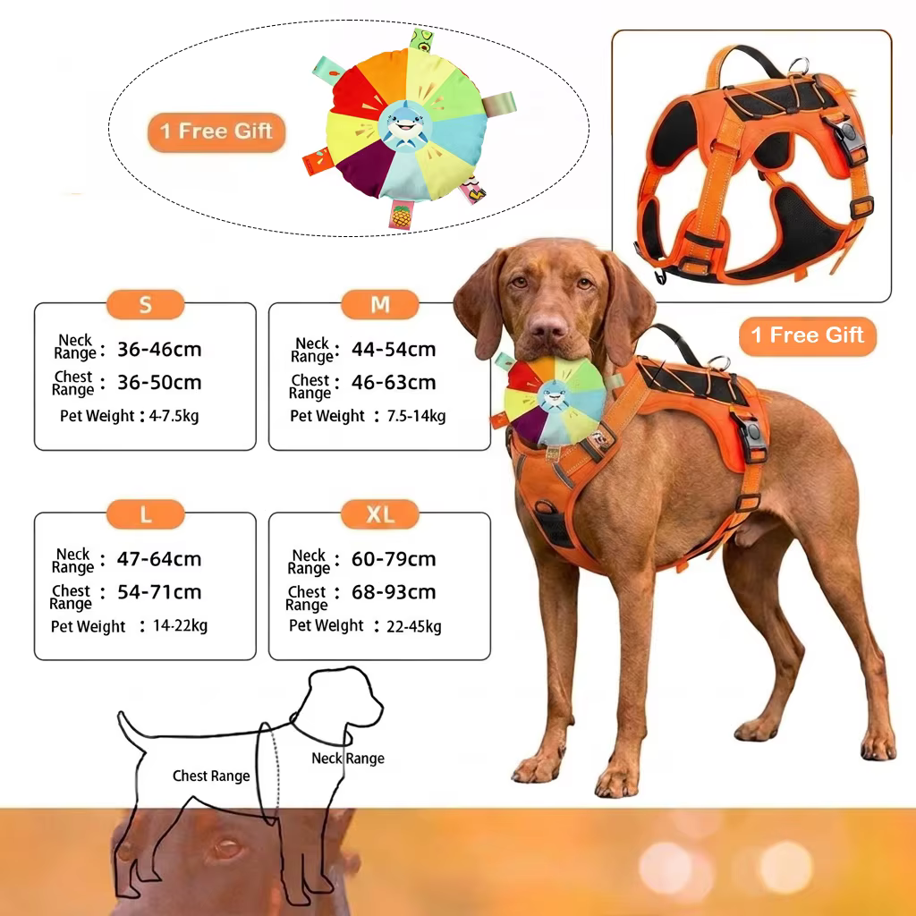Harnais Chien Souple et Ajustable avec Laisse – Confort et Sécurité