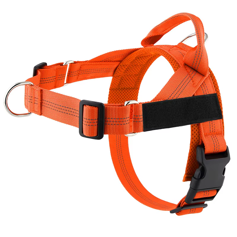 Harnais pour chien