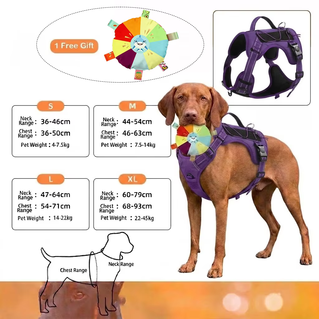 Harnais Chien Souple et Ajustable avec Laisse – Confort et Sécurité