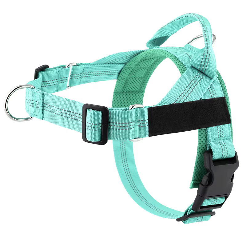 Harnais pour chien