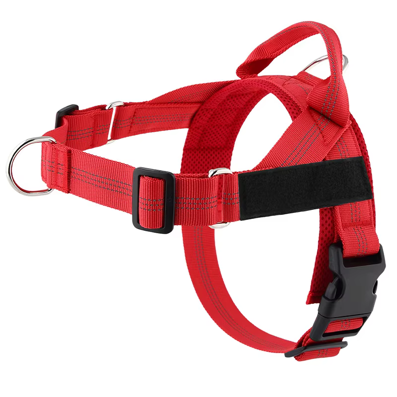 Harnais pour chien