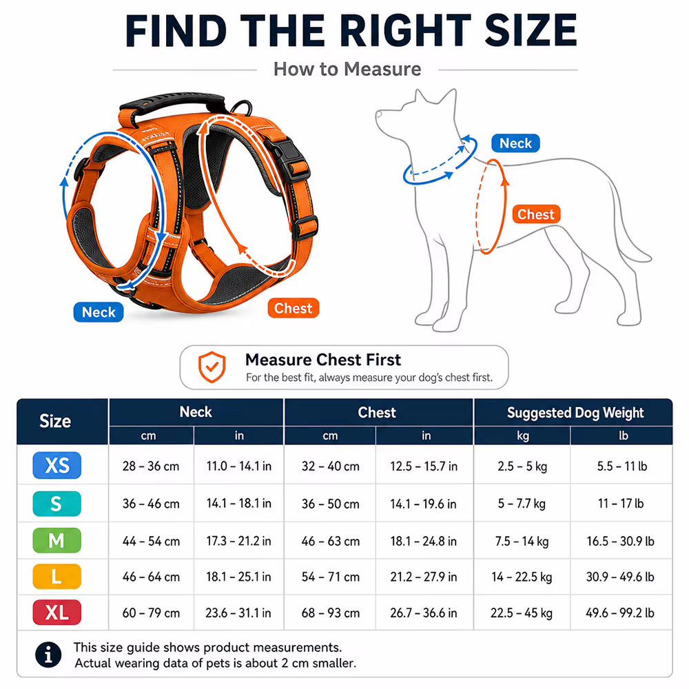 Harnais pour Chien Réglable à 4 Points – Confort & Sécurité