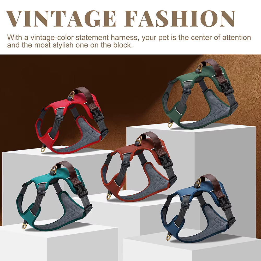 Harnais Anti-Traction Vintage pour Chien | Confort & Contrôle