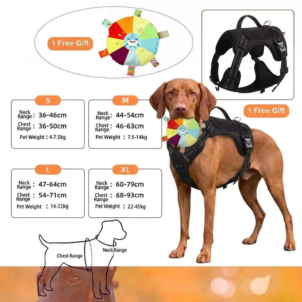 Harnais Chien Souple et Ajustable avec Laisse – Confort et Sécurité