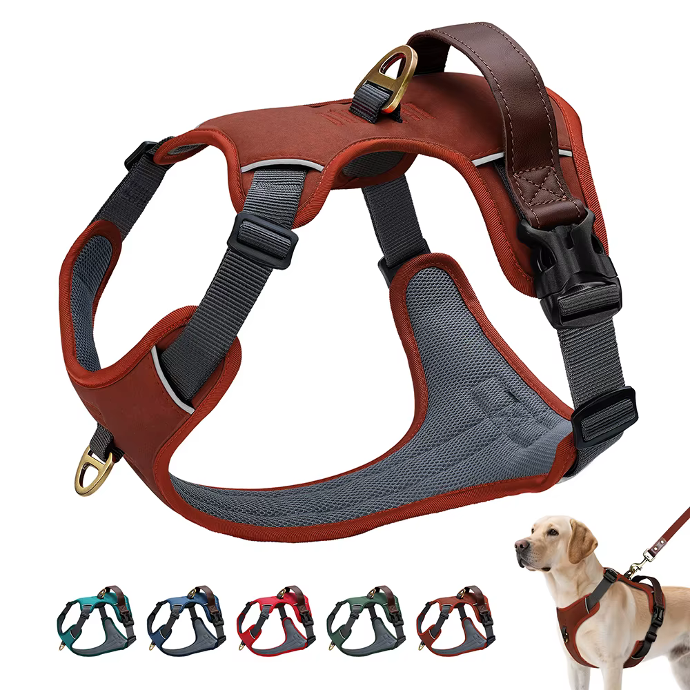 Harnais Anti-Traction Vintage pour Chien | Confort & Contrôle