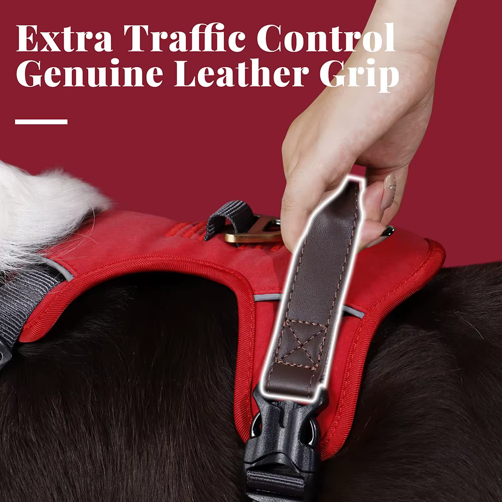 Harnais Anti-Traction Vintage pour Chien | Confort & Contrôle
