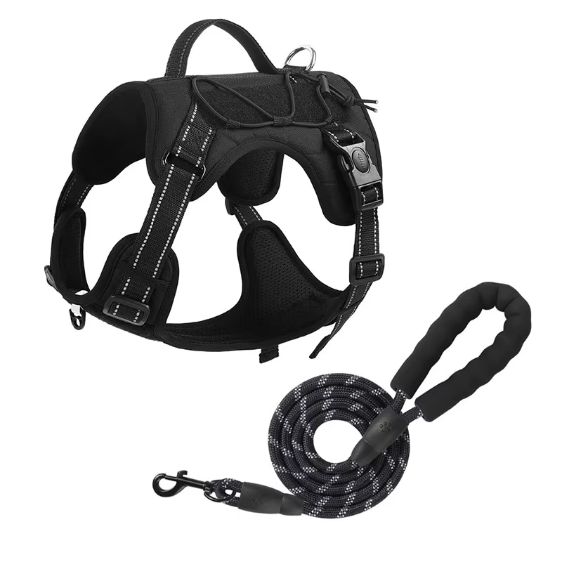 Harnais Chien Souple et Ajustable avec Laisse – Confort et Sécurité