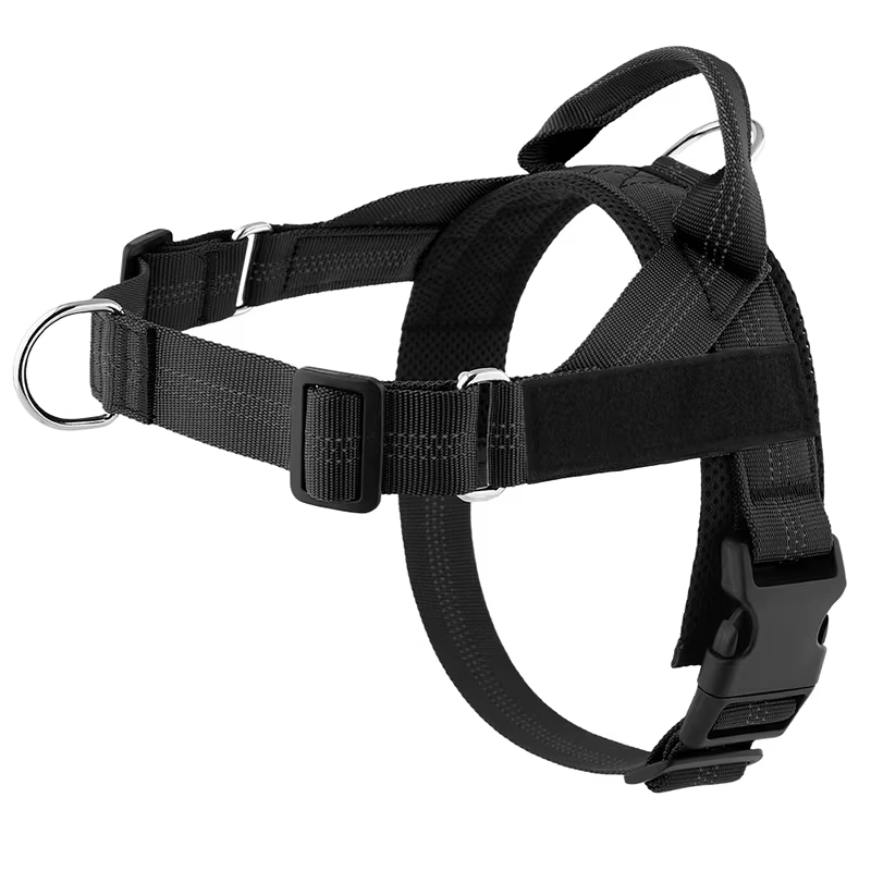 Harnais pour chien