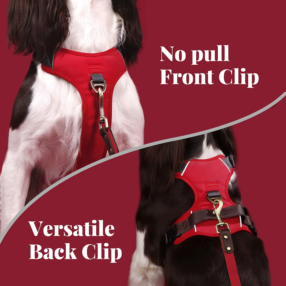 Harnais Anti-Traction Vintage pour Chien | Confort & Contrôle