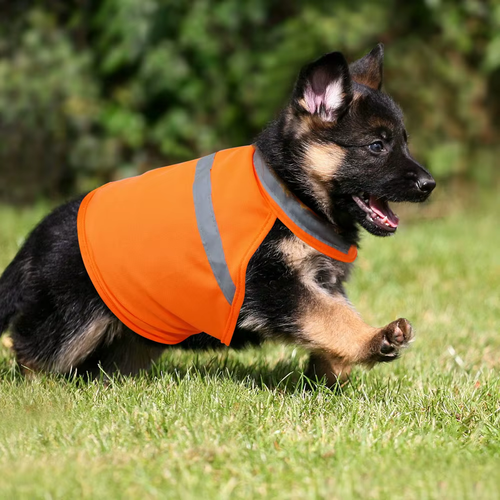 Gilet de Sécurité Réfléchissant pour Chien | Haute Visibilité
