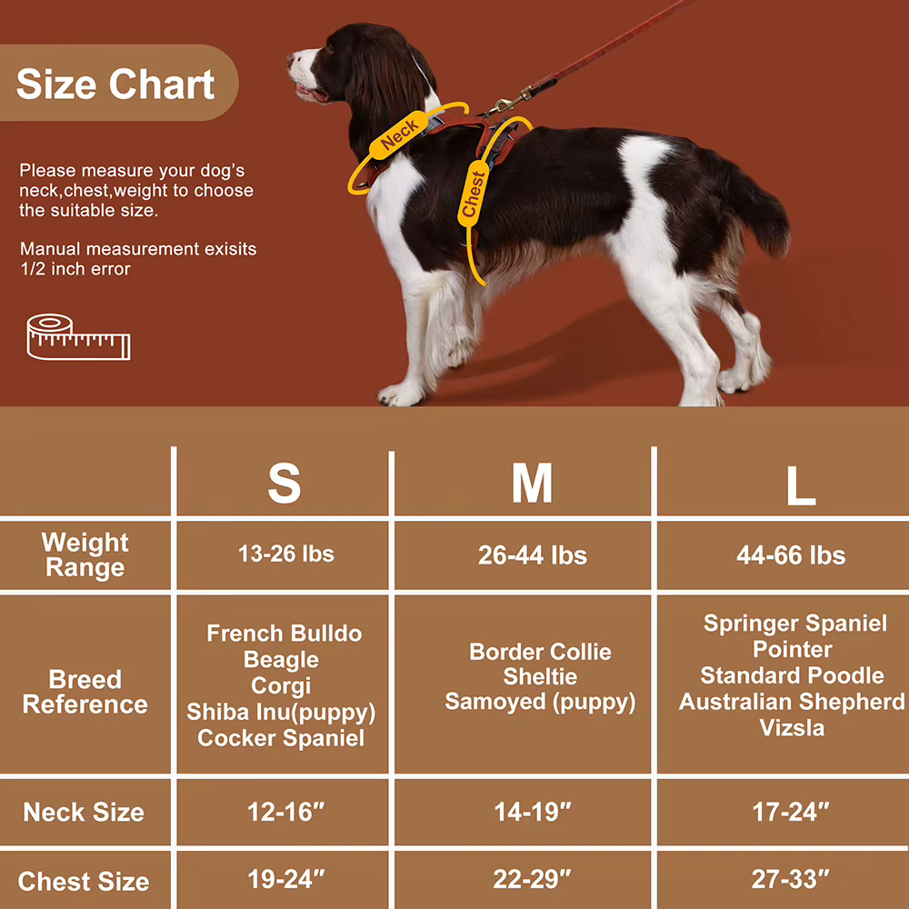 Harnais Anti-Traction Vintage pour Chien | Confort & Contrôle