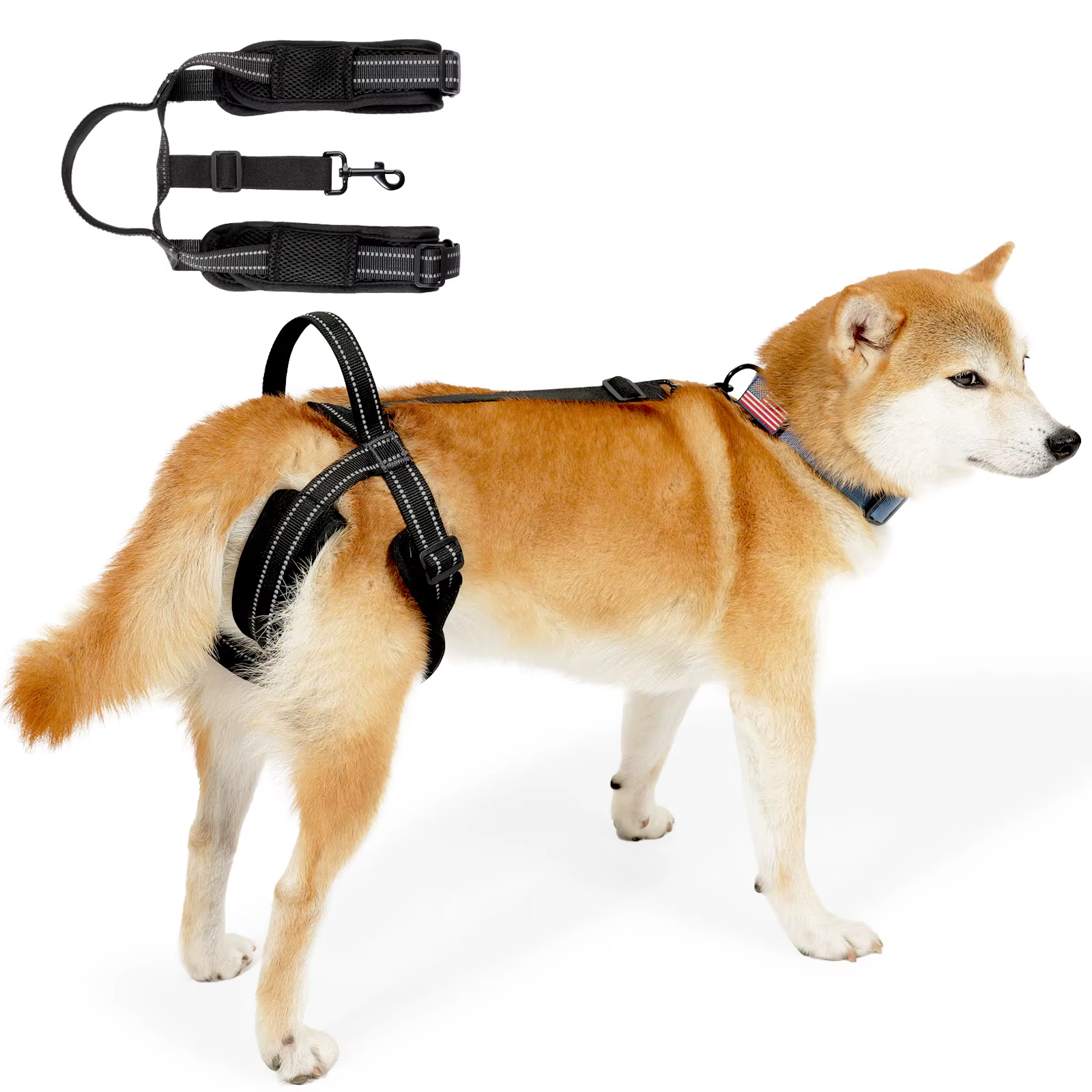 Harnais de Soutien Pattes Arrière Chien | Aide à la Mobilité