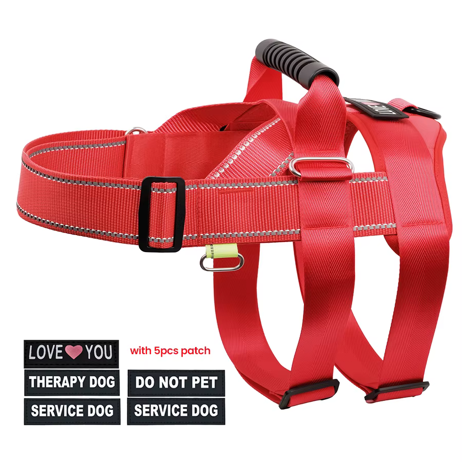 Harnais Anti-Traction pour Chien | Ergonomique & Réfléchissant