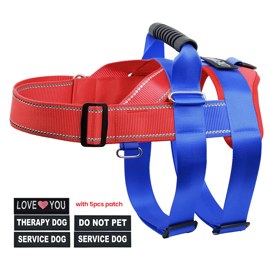 Harnais Anti-Traction pour Chien | Ergonomique & Réfléchissant