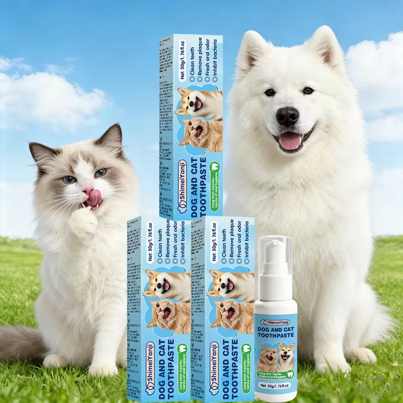 DENTITRICE FACILE  UTILISATION  POUR CHIEN