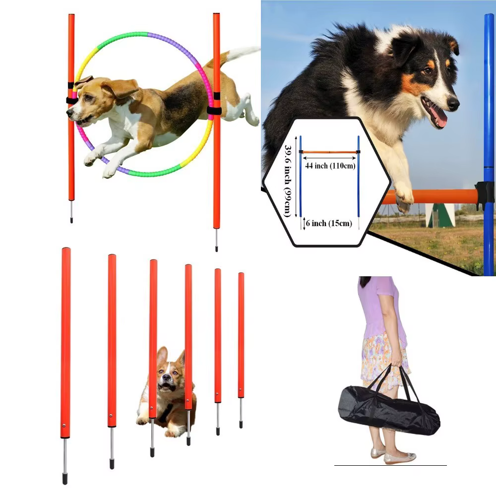  Agility POUR CHIEN