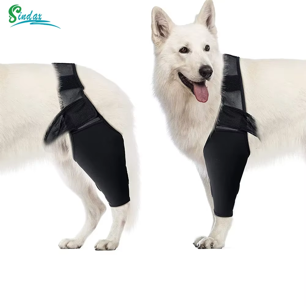 Attelle Orthopédique pour Chien | Support Articulaire & Genouillère