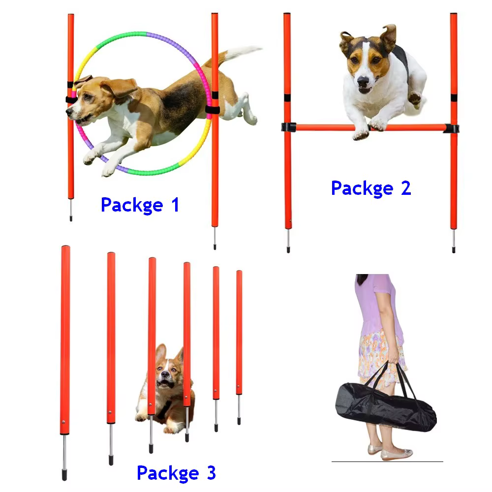  Agility POUR CHIEN