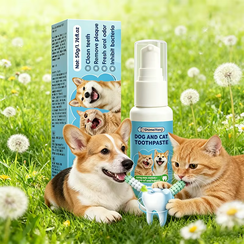 DENTITRICE FACILE  UTILISATION  POUR CHIEN