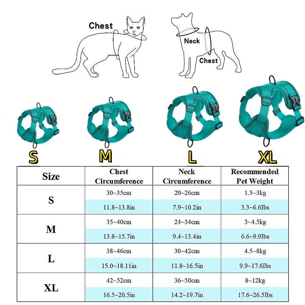 Harnais pour Chien avec Laisse Assortie | Confort & Sécurité