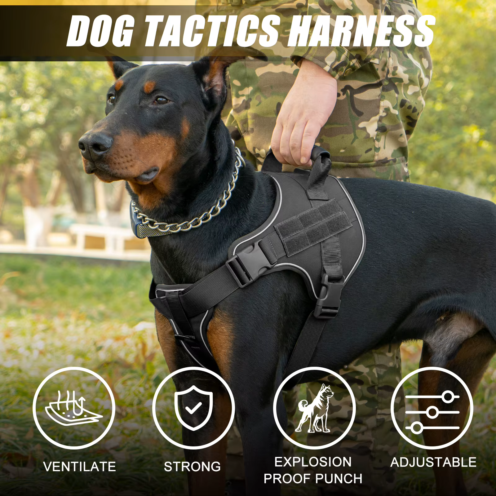 Harnais Tactique pour Chien | Poignée Renforcée & Anti-Traction