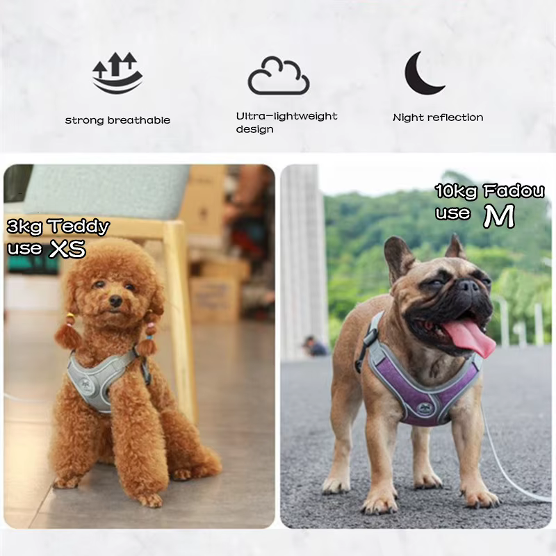 Harnais Anti-Traction Respirant et Réfléchissant pour Chien