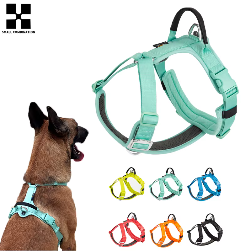 Harnais pour chien confortable et réglable – sécurité et liberté de mouvement
