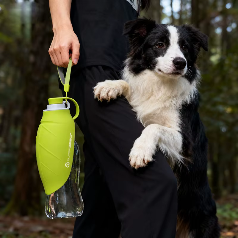 Gourde Portable pour Chien 580ml | Bouteille d'Eau de Voyage