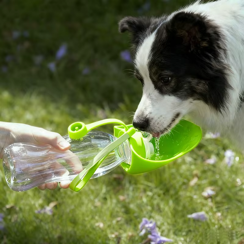 Gourde Portable pour Chien 580ml | Bouteille d'Eau de Voyage