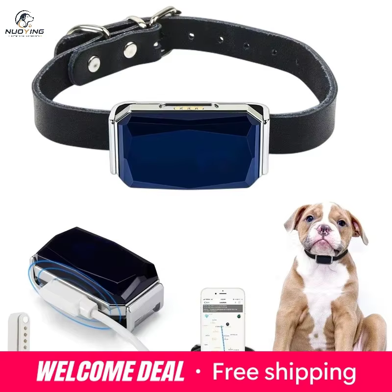 collier gps anti perte pour chien