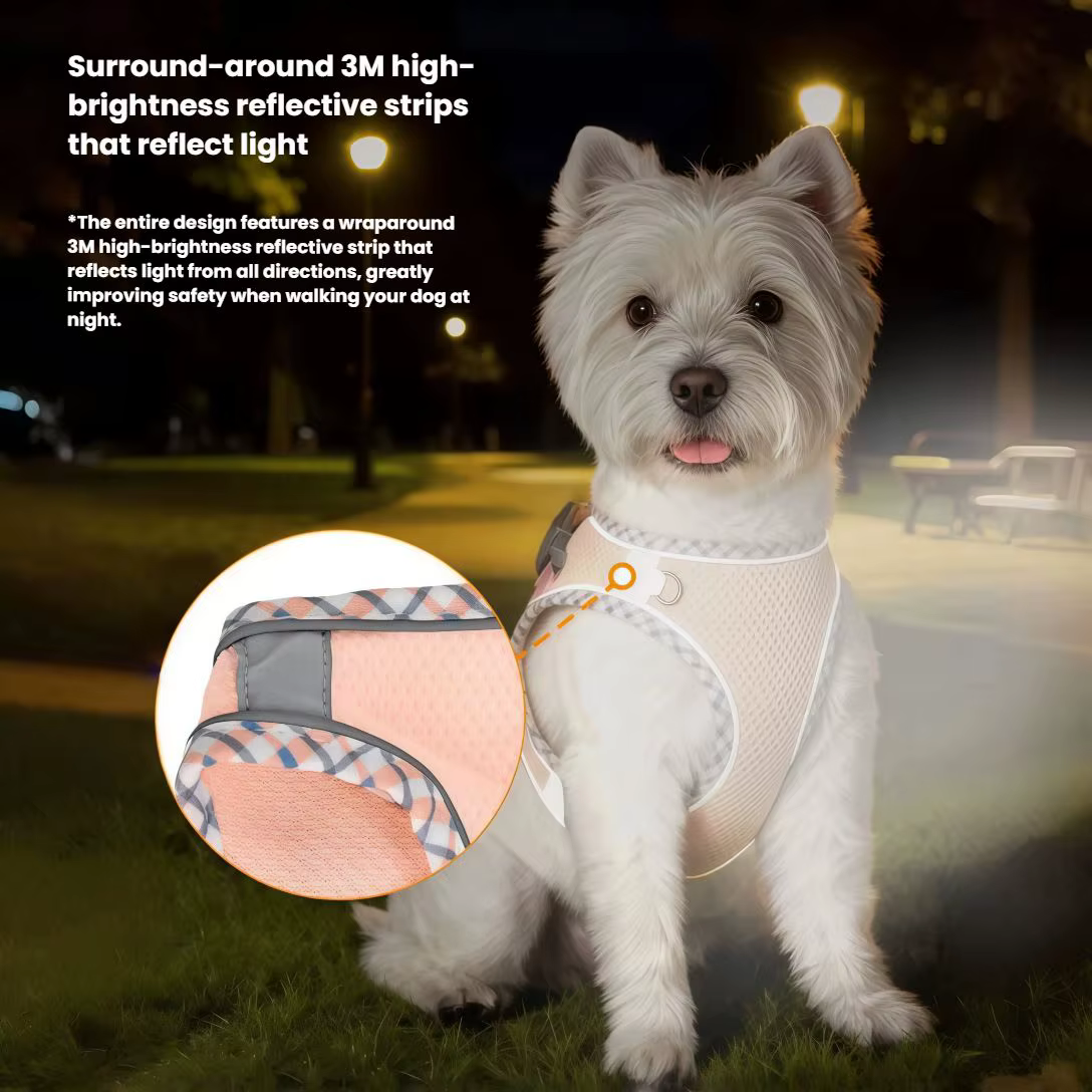 Harnais pour chien confortable avec laisse