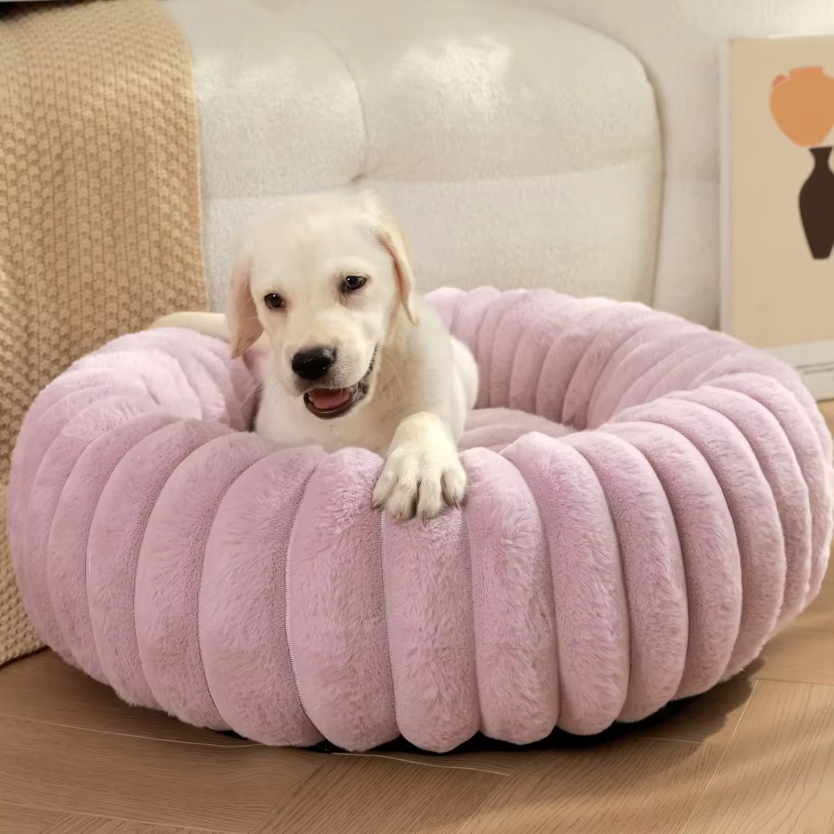 coussin pour chien style & confort