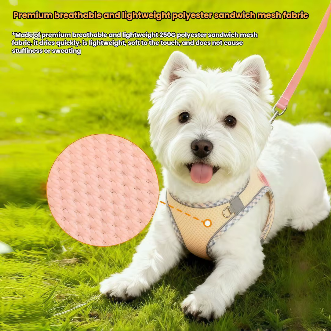 Harnais pour chien confortable avec laisse