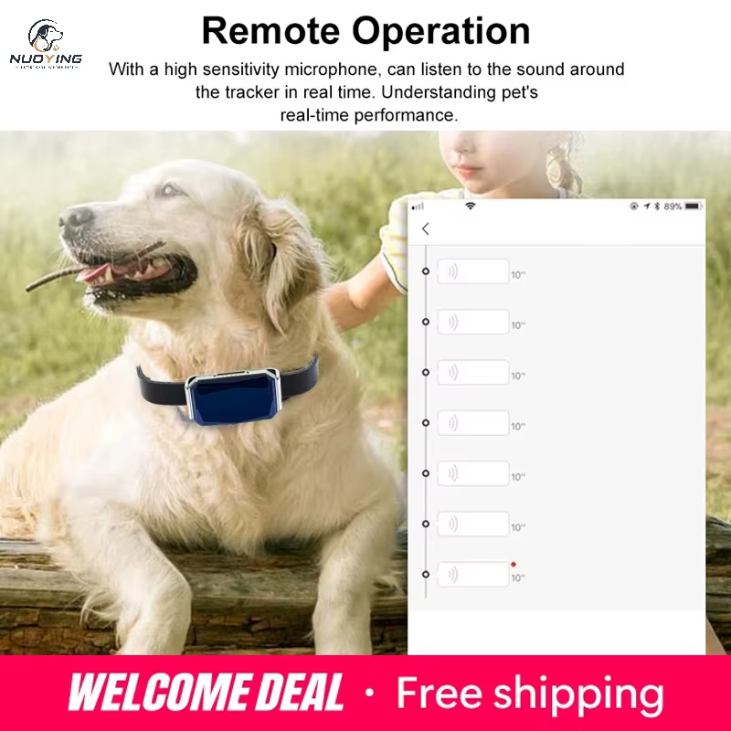 collier gps anti perte pour chien