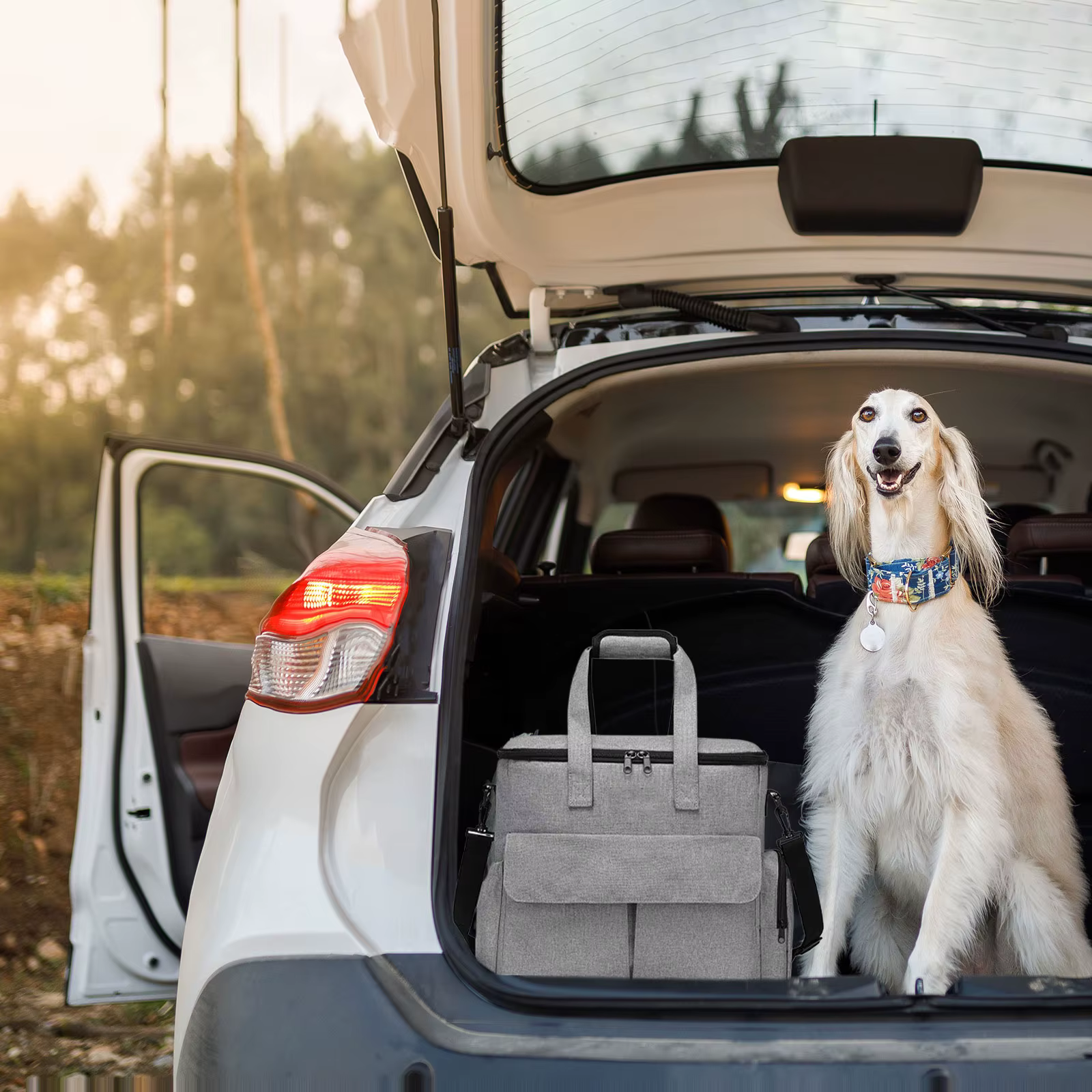 Sac de Voyage pour Chien | Organiseur d'Accessoires Complet