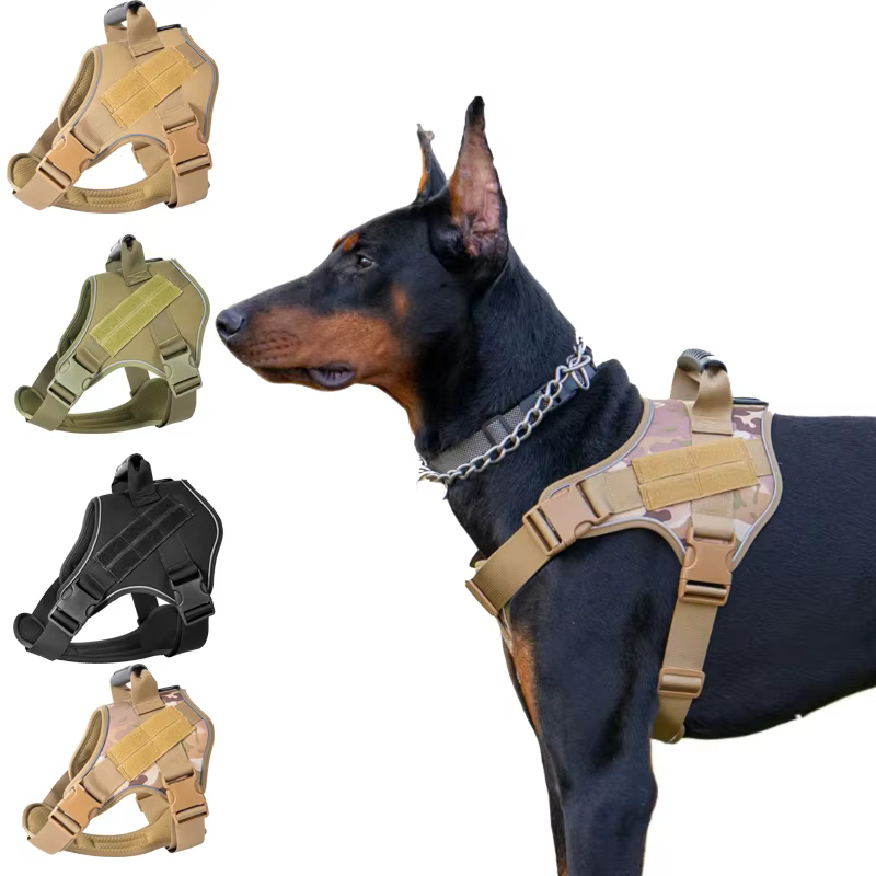 Harnais Tactique pour Chien | Poignée Renforcée & Anti-Traction
