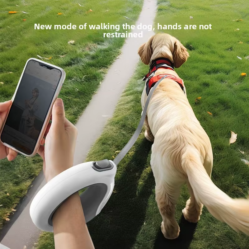 Laisse Rétractable Mains Libres Chien