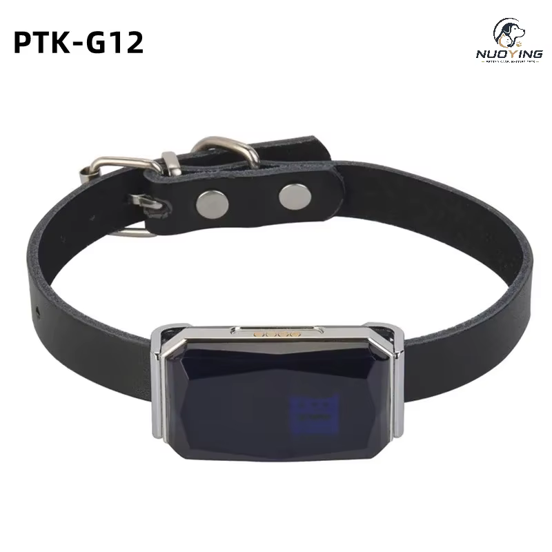 collier gps anti perte pour chien