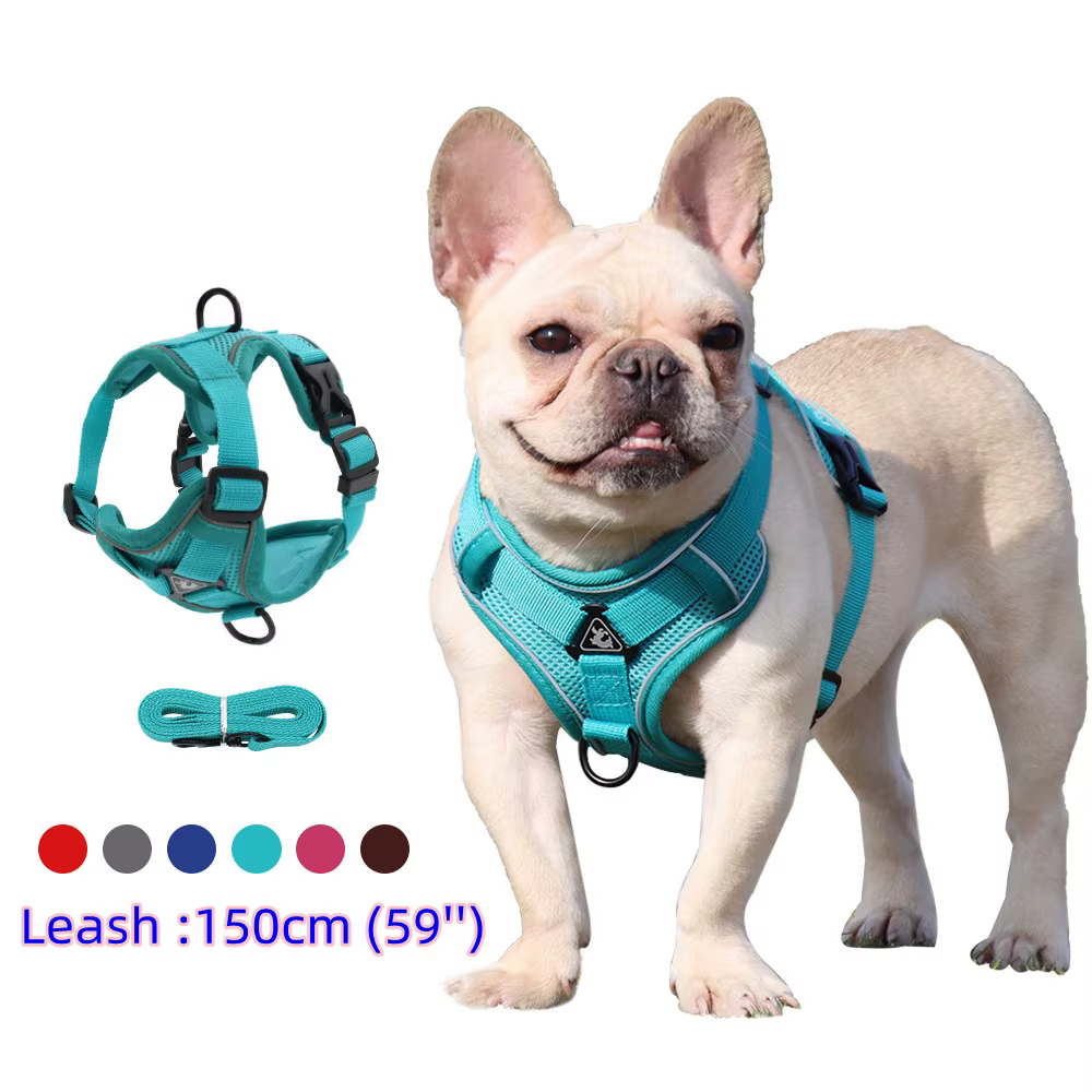 Harnais pour Chien avec Laisse Assortie | Confort & Sécurité