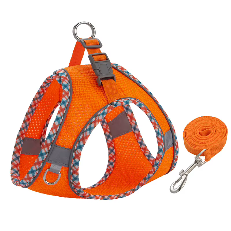 Harnais pour chien confortable avec laisse