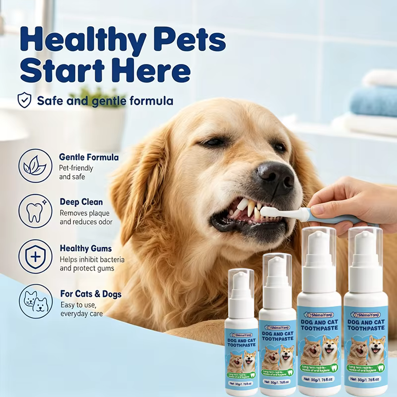 DENTITRICE FACILE  UTILISATION  POUR CHIEN