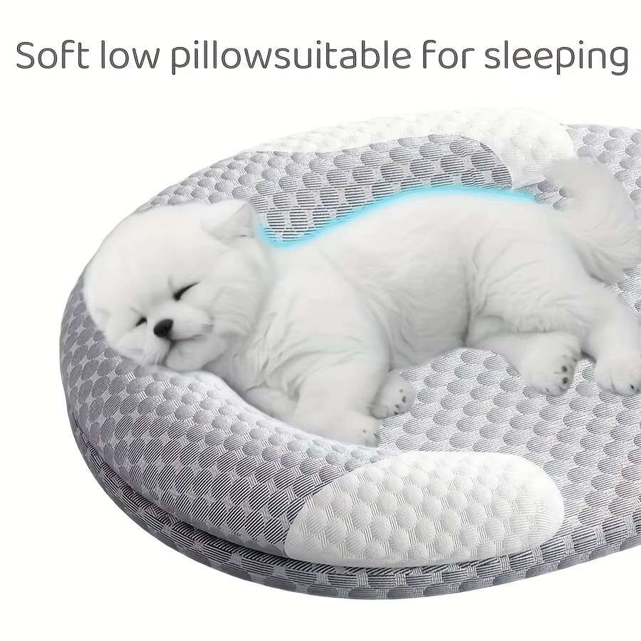 Coussin pour chien