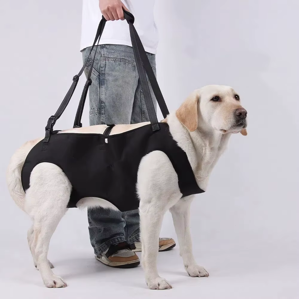 Harnais de Transport pour Chien Confortable et Réglable